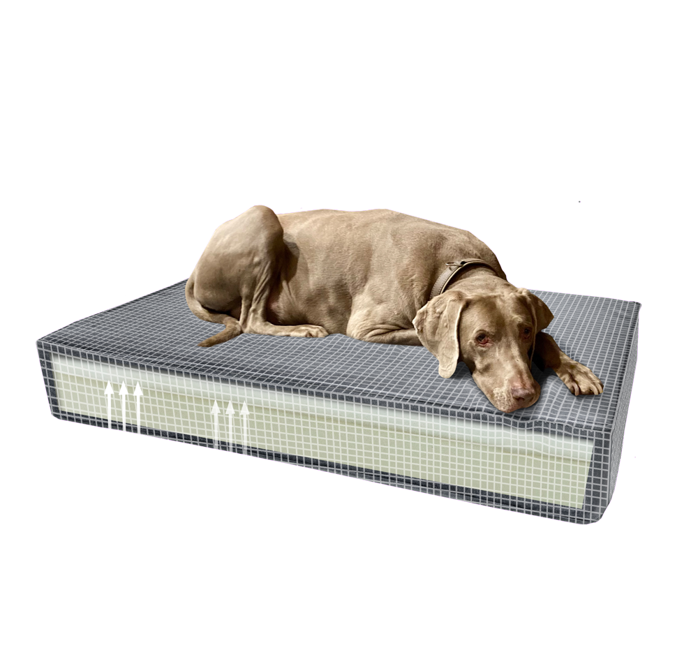 Madison Orthopedisch Kussen Velvet Groen S - 45 x 55 x 12 cm - afbeelding 2