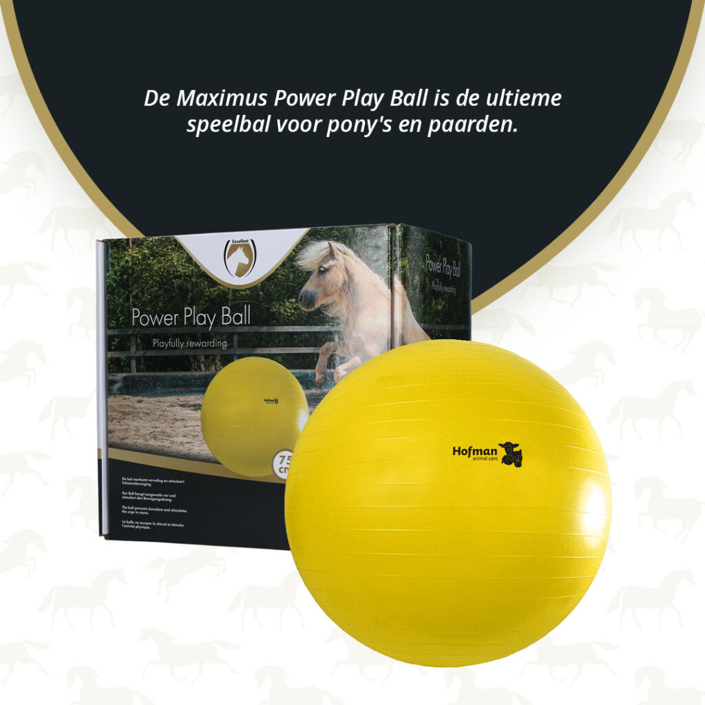 Maximus Power Play Ball 75 cm - Speelbal voor paarden - afbeelding 3