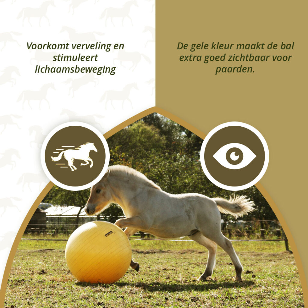 Maximus Power Play Ball 75 cm - Speelbal voor paarden - afbeelding 5