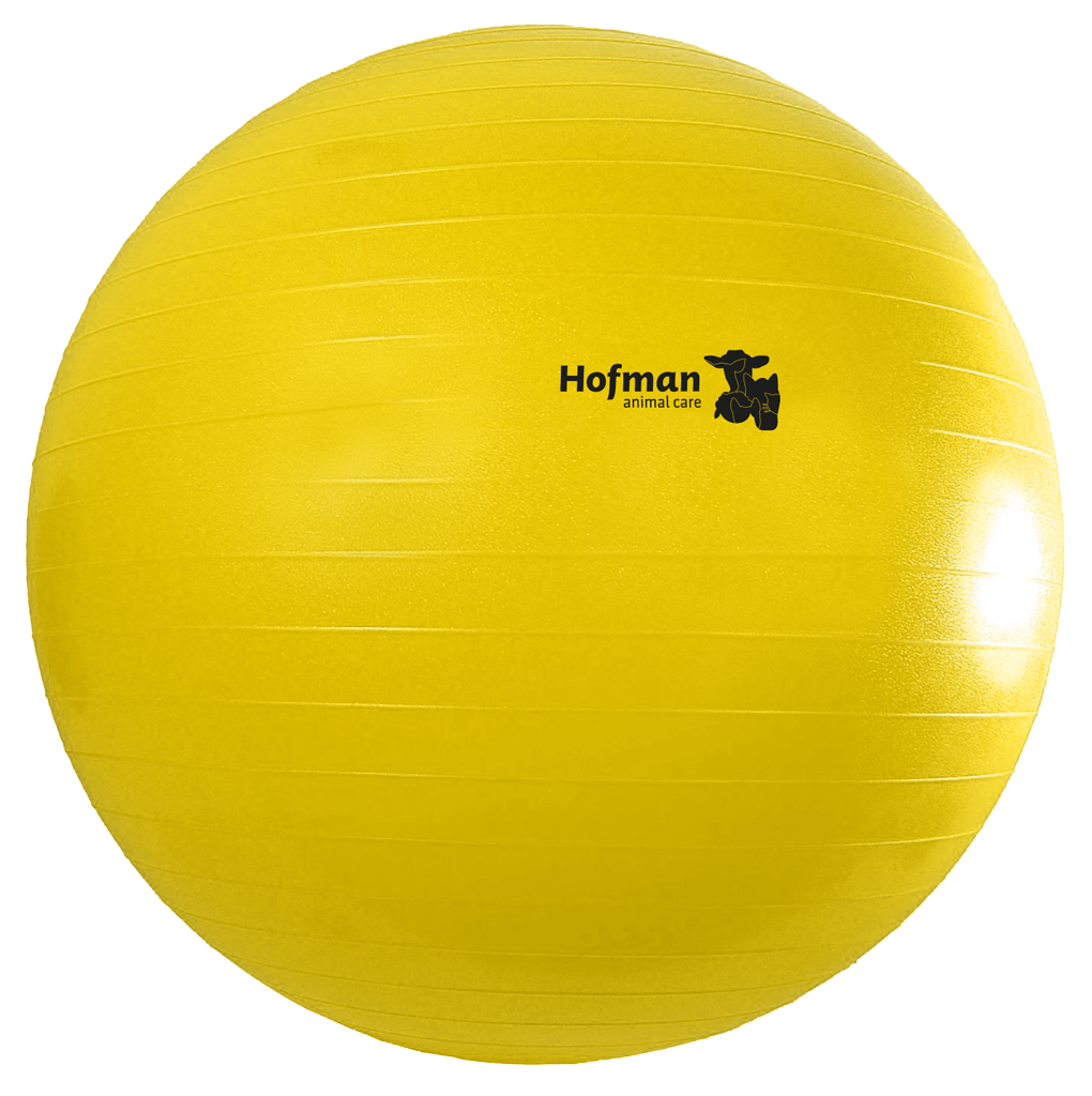 Maximus Power Play Ball 100 cm - Speelbal voor Paarden - afbeelding 2