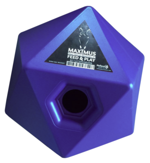 Maximus Feed & Play Cube Blauw - Spelenderwijs Voeren en Belonen