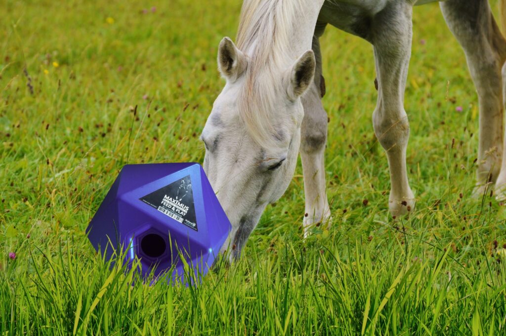 Maximus Feed & Play Cube Blauw - Spelenderwijs Voeren en Belonen - afbeelding 3