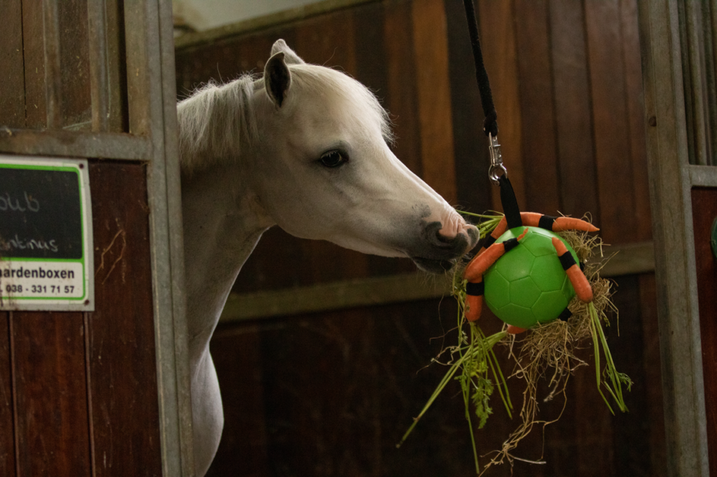 Excellent Horse Fun Play Ball Roze - Duurzame speelbal voor paarden - afbeelding 4