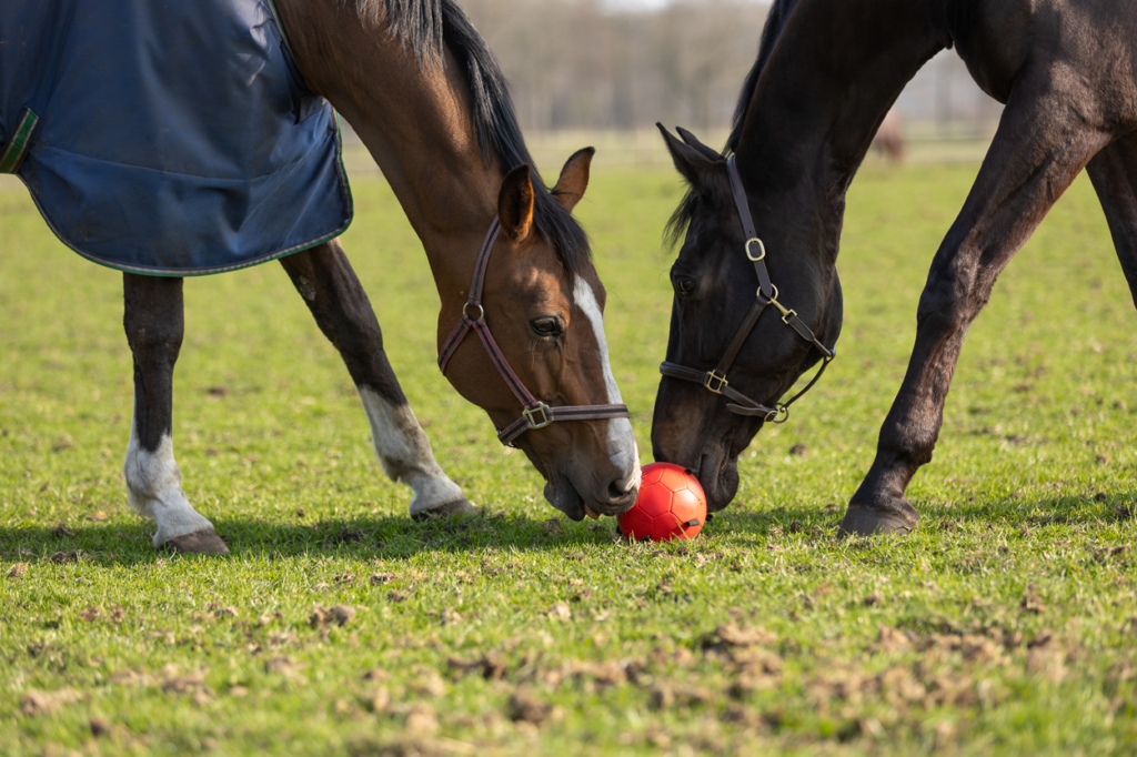 Excellent Horse Fun Play Ball Roze - Duurzame speelbal voor paarden - afbeelding 6