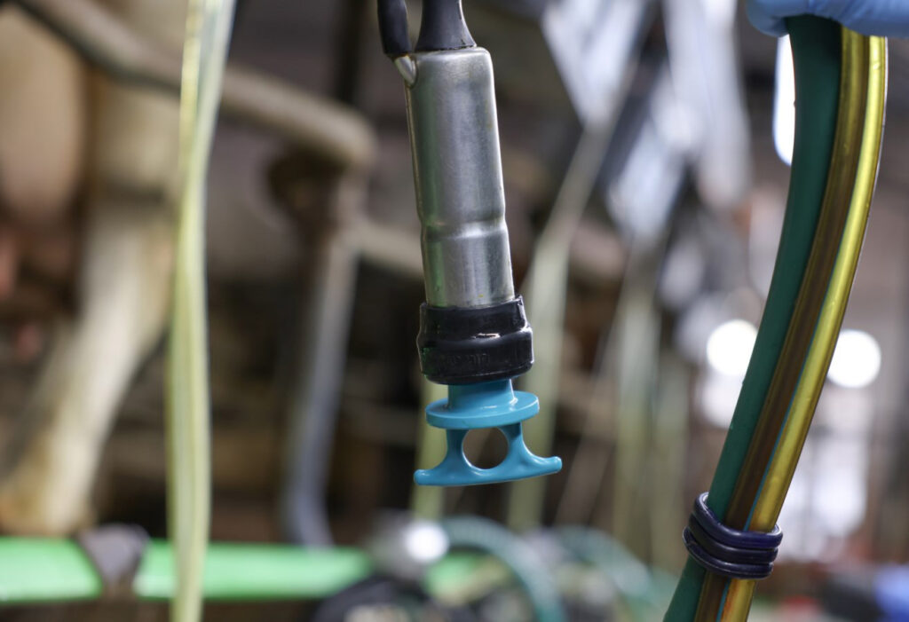 Melkstop Conisch Kerbl voor dieren met drie spenen - afbeelding 3