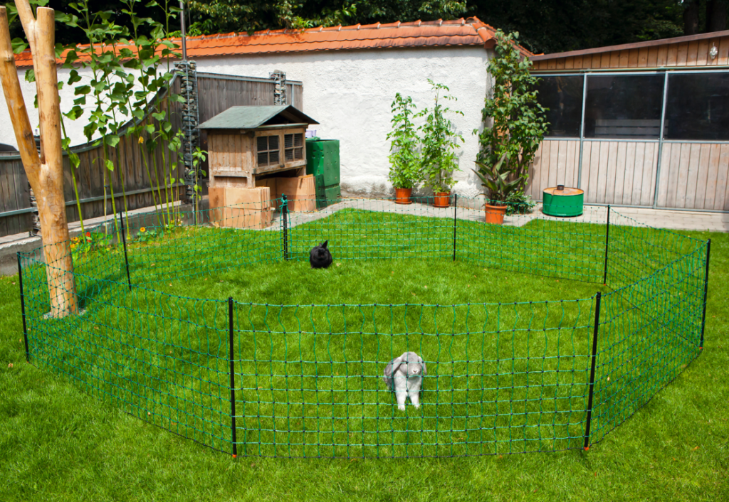 Net afrast konijn 65 cm, enkelpunt 12 m - afbeelding 3