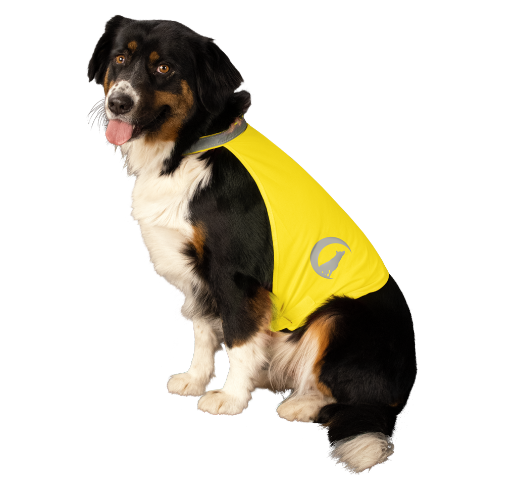 Nightwalk Safety Vest Geel M - Reflecterend Veiligheidsvest voor Honden - afbeelding 3