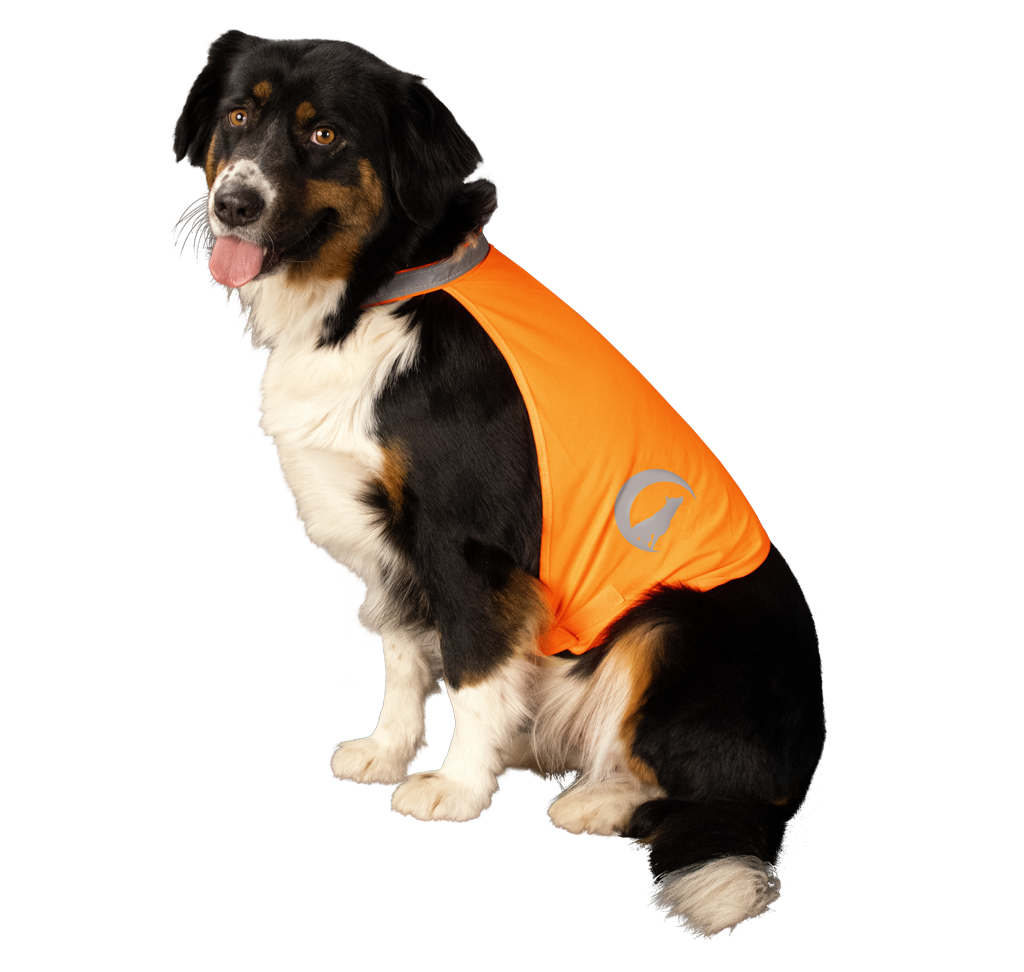 Nightwalk Safety Vest Oranje S - Reflecterend Veiligheidsvest voor Honden - afbeelding 3