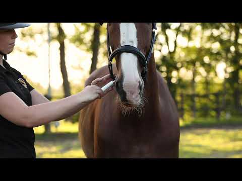 Excellent Horse Vitasporal 12 ml - Energie en Vitaminen voor Paarden - afbeelding 4