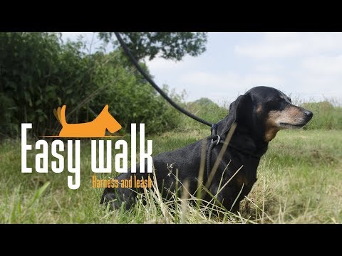 Easy Walk Handmodel Rood - Mini Tuig en Riem in 1 - afbeelding 3