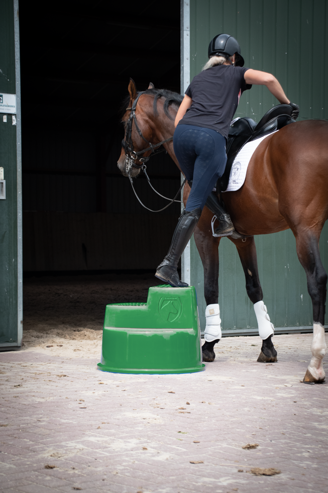 Excellent Horse Opstaphulp 3 Treden Groen - Veilig en Multifunctioneel - afbeelding 3