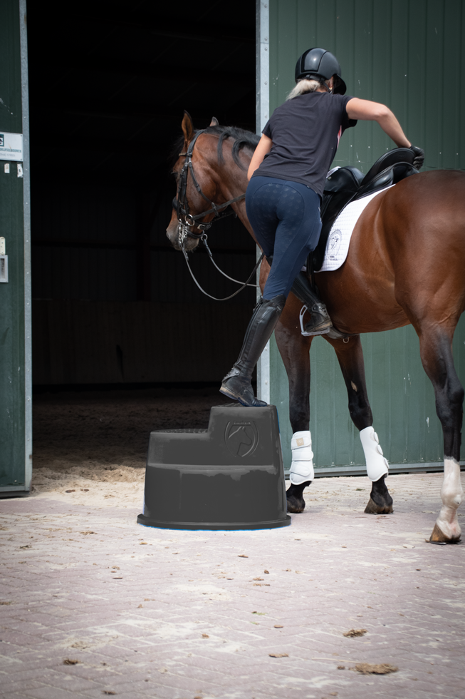 Excellent Horse Opstaphulp 3 Treden Zwart - Veilig en Multifunctioneel - afbeelding 4
