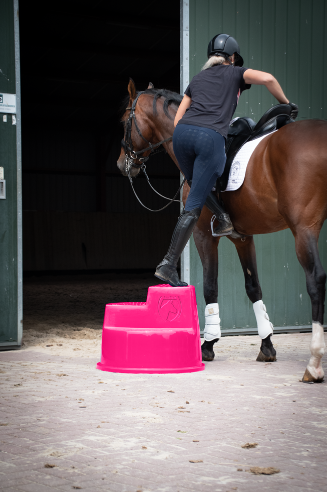 Excellent Horse Opstaphulp 3 Treden Roze - Veilig en Multifunctioneel - afbeelding 3
