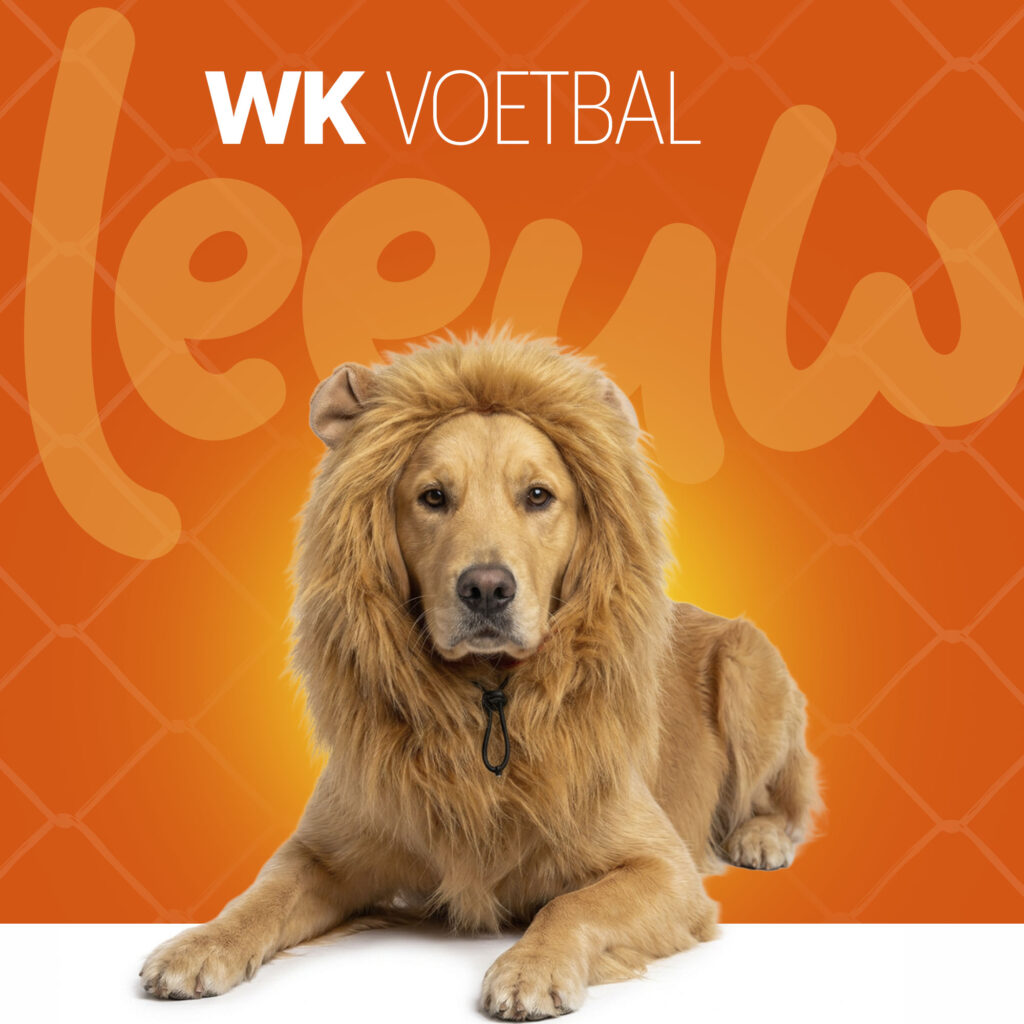 Oranje Manen Tooi L - Hofman Animal Care - afbeelding 2