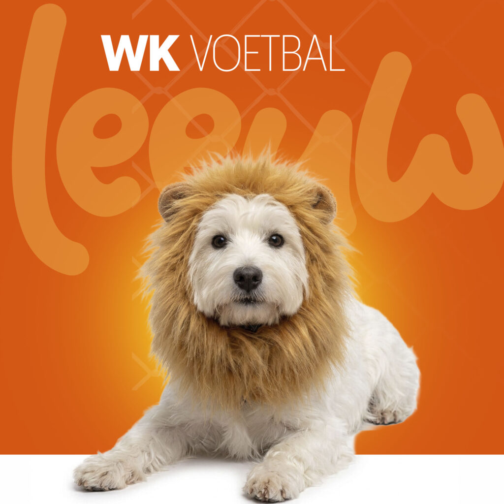 Oranje Manen Tooi M - Hofman Animal Care - Speelgoed voor Honden - afbeelding 2