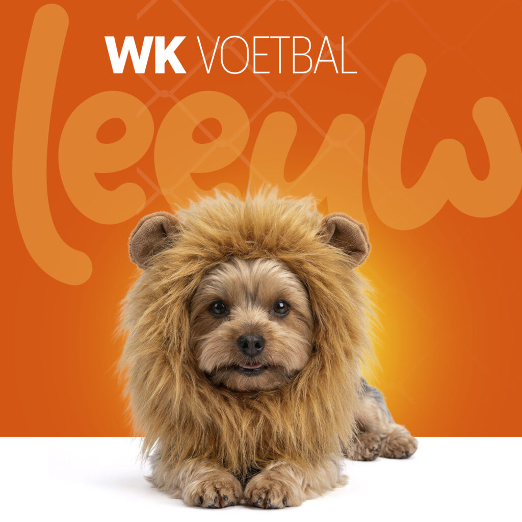 Oranje Manen Tooi S - Hofman Animal Care - Speelgoed voor Honden - afbeelding 2