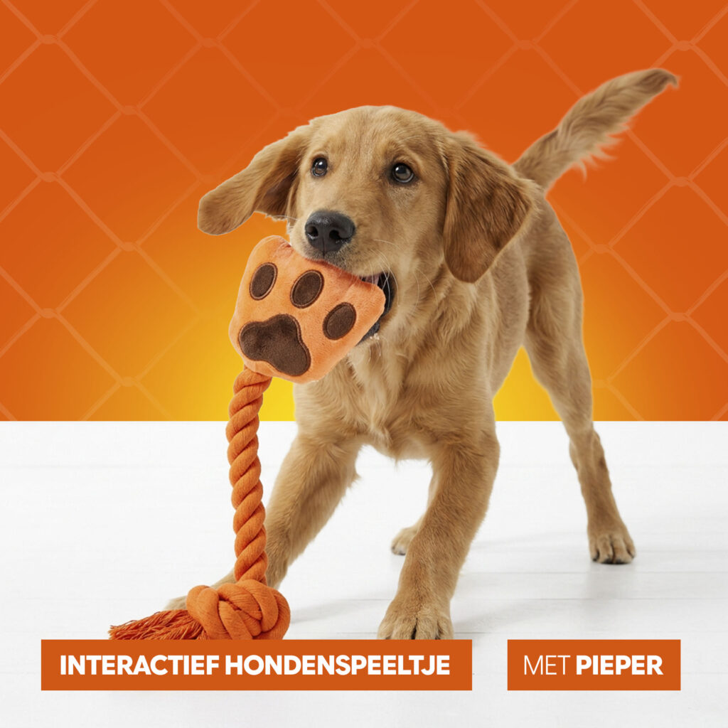 Oranje WK High Five - Speelgoed voor Honden van Hofman Animal Care - afbeelding 6