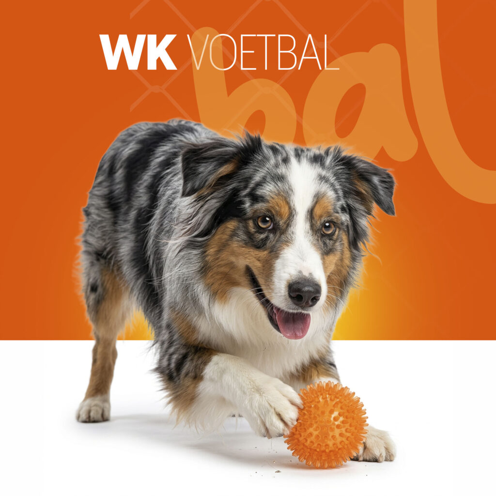 Oranje Egelbal M - Hofman Animal Care - Speelgoed voor Honden - afbeelding 2