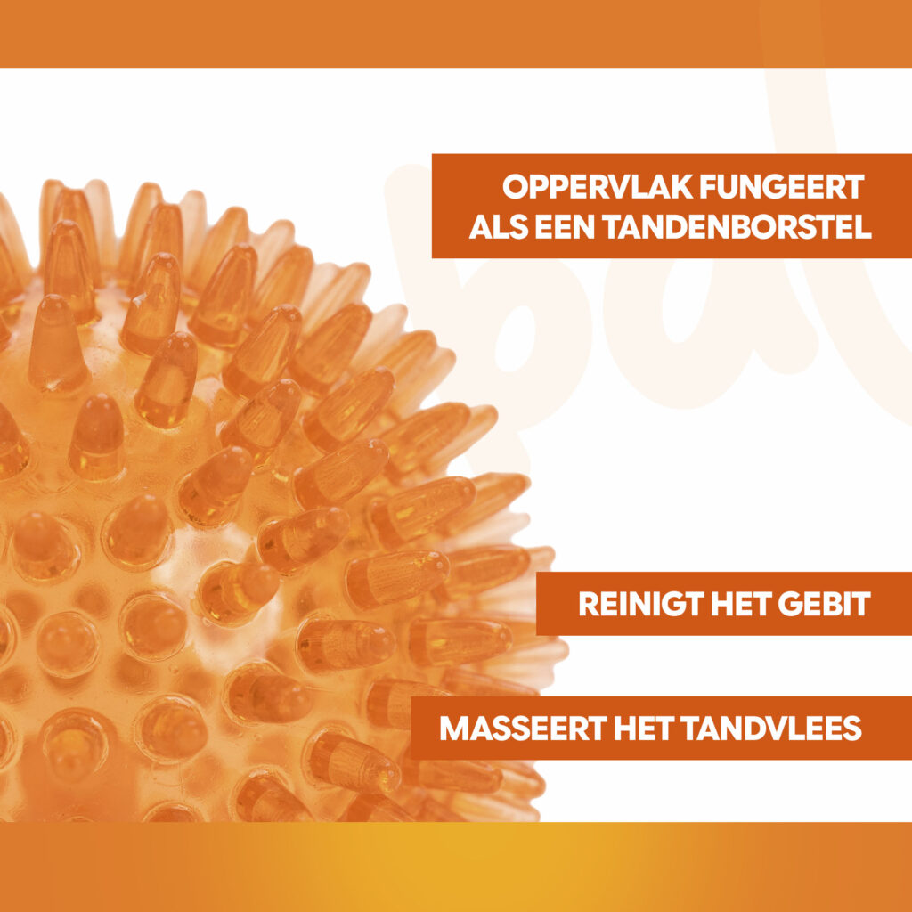Oranje Egelbal M - Hofman Animal Care - Speelgoed voor Honden - afbeelding 3