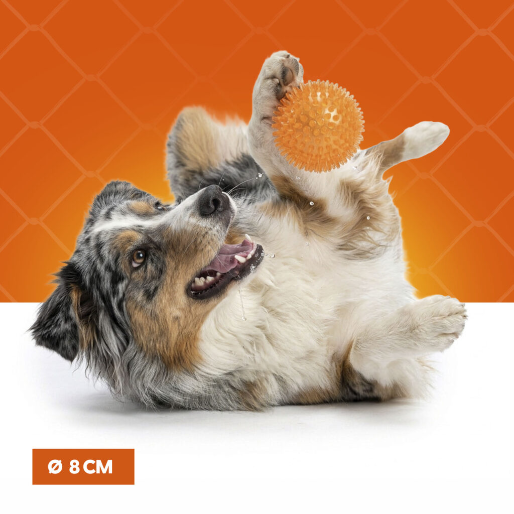 Oranje Egelbal M - Hofman Animal Care - Speelgoed voor Honden - afbeelding 4