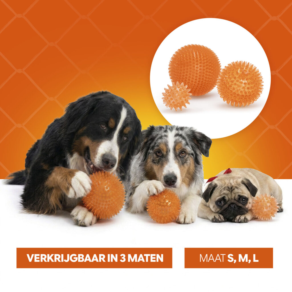 Oranje Egelbal M - Hofman Animal Care - Speelgoed voor Honden - afbeelding 6