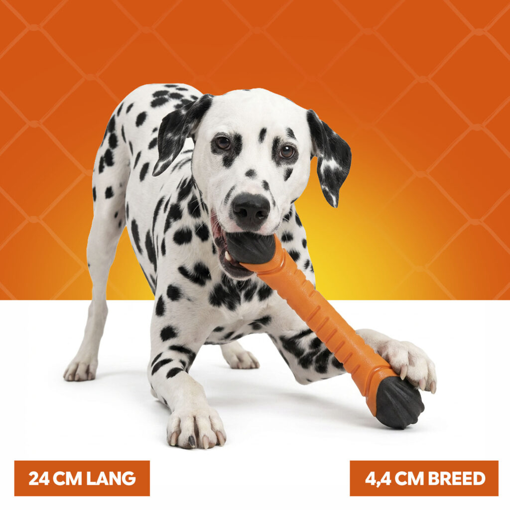 Hofman Animal Care Oranje Apporteerstick S - Drijvend Hondenspeelgoed - afbeelding 4