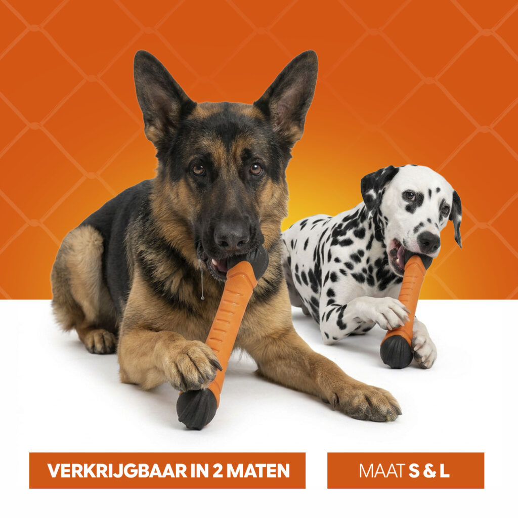 Hofman Animal Care Oranje Apporteerstick S - Drijvend Hondenspeelgoed - afbeelding 6