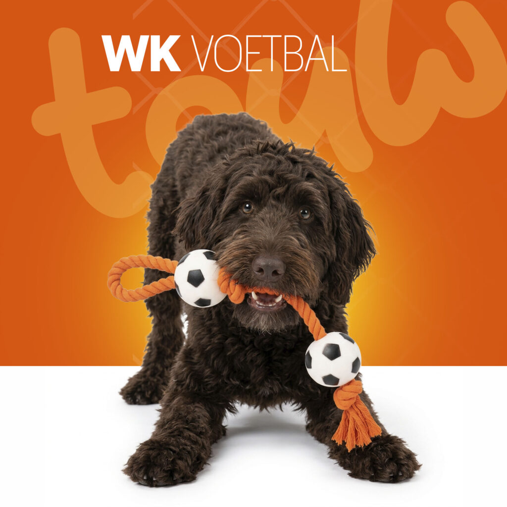 Oranje Flostouw Voetballen - Hofman Animal Care - afbeelding 2