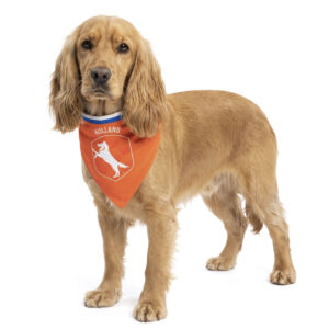 Oranje Bandana Holland M - Hofman Animal Care