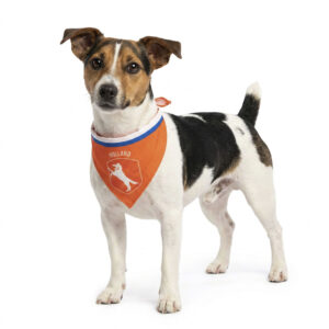 Oranje Bandana Holland S - Hofman Animal Care