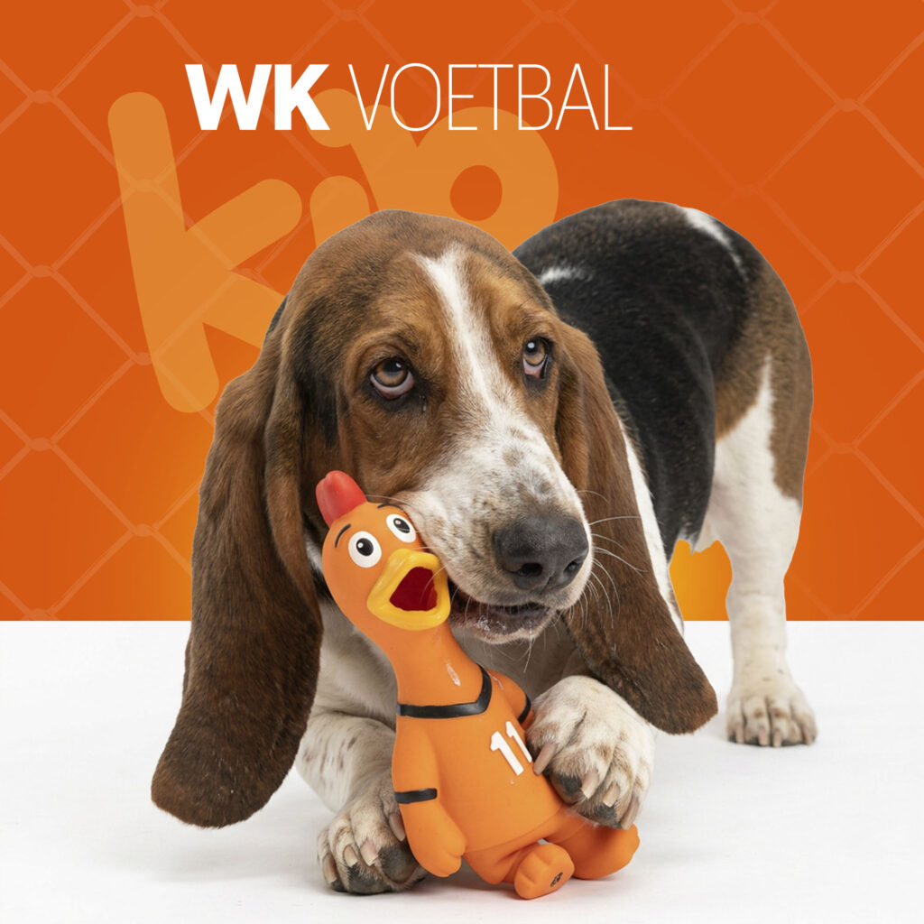 Oranje Latex Hondenspeeltje WK Kip - Hofman Animal Care - afbeelding 2