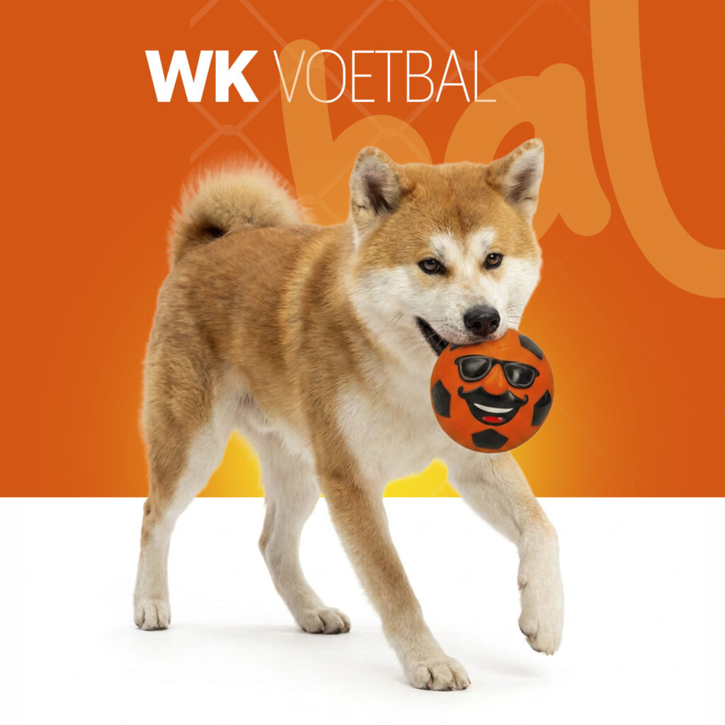 Oranje Mr. Dutch L - Latex Hondenspeeltje van Hofman Animal Care - afbeelding 2