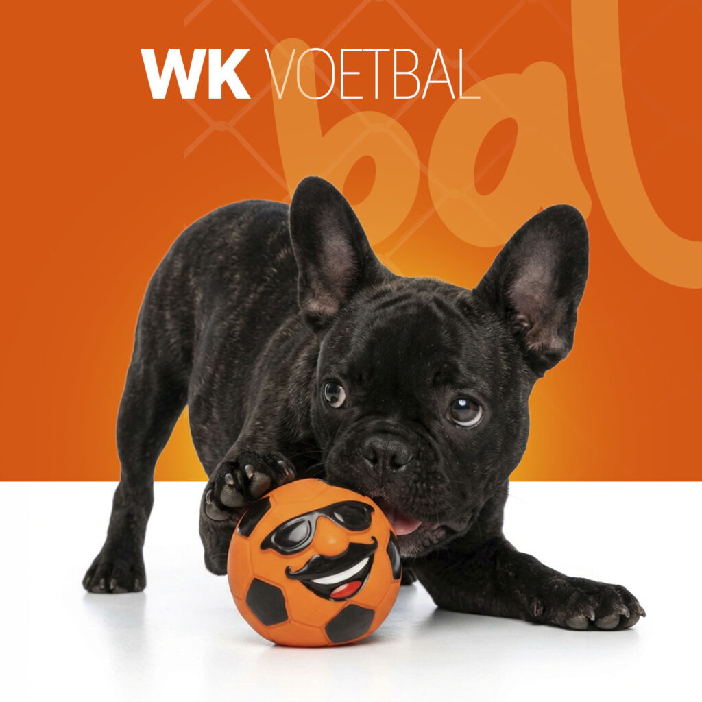 Oranje Mr. Dutch M - Latex Hondenspeeltje van Hofman Animal Care - afbeelding 2