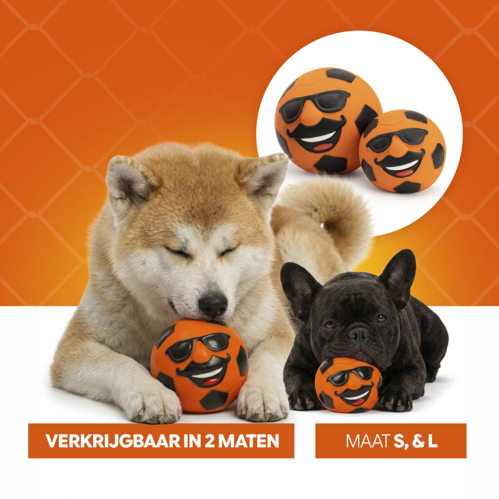 Oranje Mr. Dutch M - Latex Hondenspeeltje van Hofman Animal Care - afbeelding 6