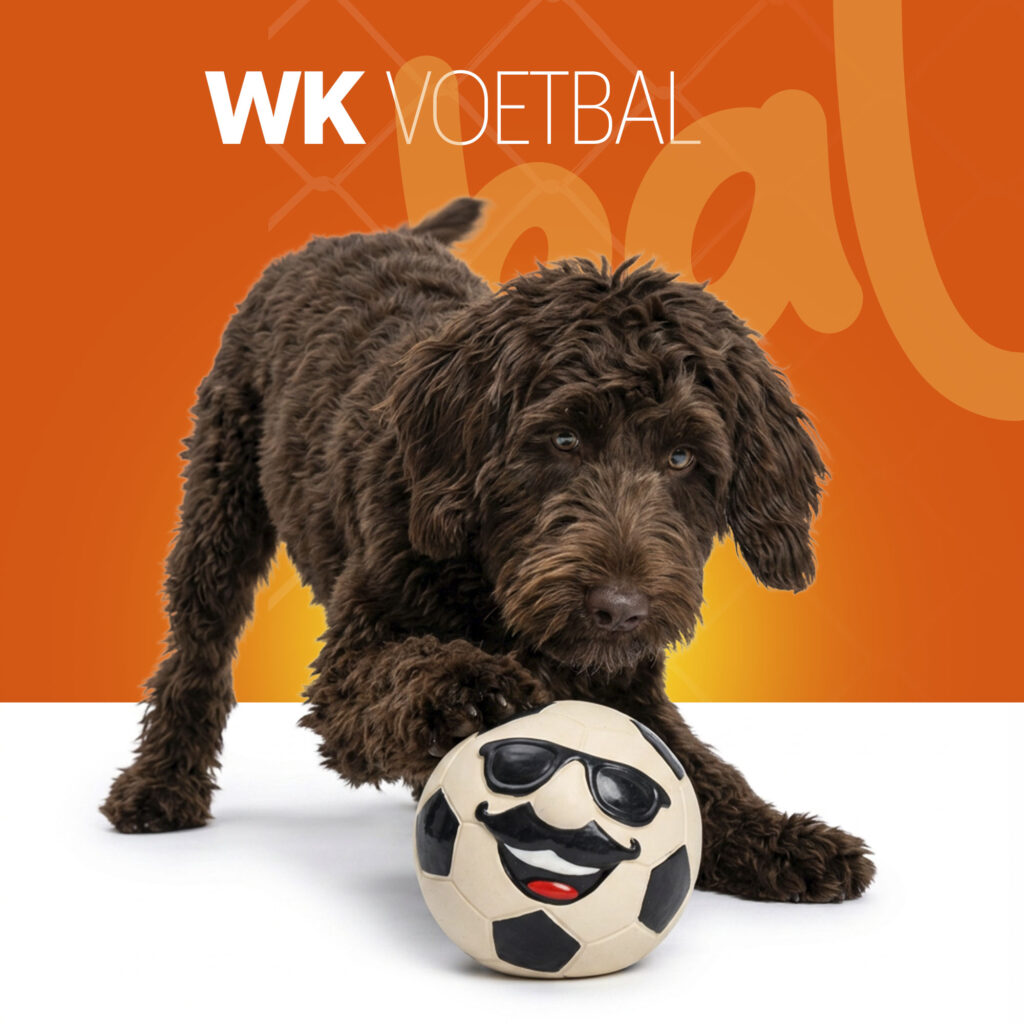 Oranje Mr WK Soccer L - Latex Hondenspeeltje van Hofman Animal Care - afbeelding 2