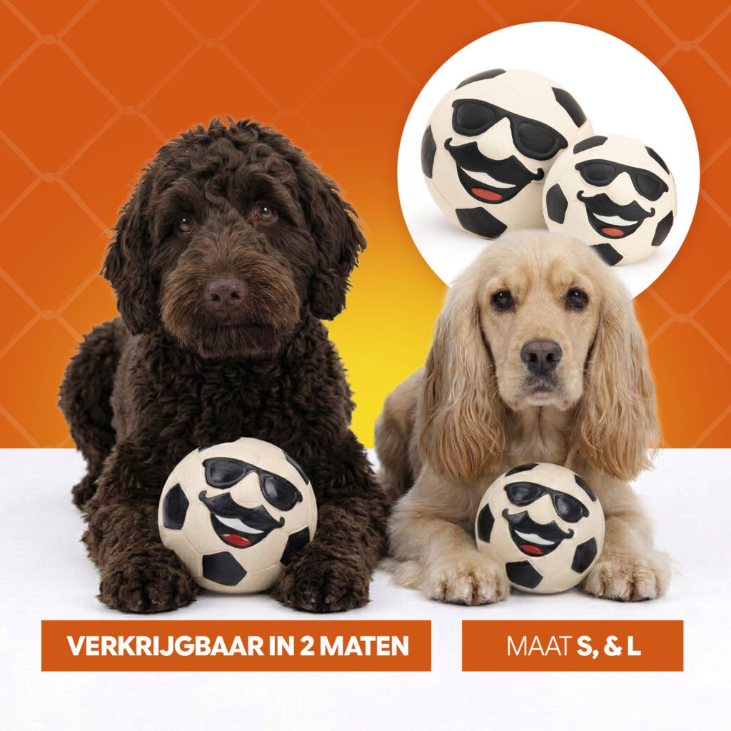 Oranje Mr WK Soccer L - Latex Hondenspeeltje van Hofman Animal Care - afbeelding 6
