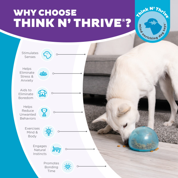 Outward Hound Orbee-Tuff Snoop L Blauw - Interactief Honden Speelgoed - afbeelding 2