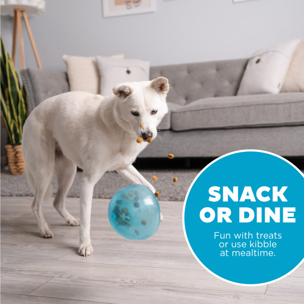 Outward Hound Orbee-Tuff Snoop L Blauw - Interactief Honden Speelgoed - afbeelding 6