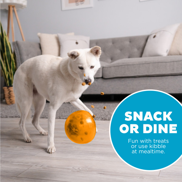 Outward Hound Orbee-Tuff Snoop L Oranje - Interactief Traktatiespeeltje - afbeelding 6