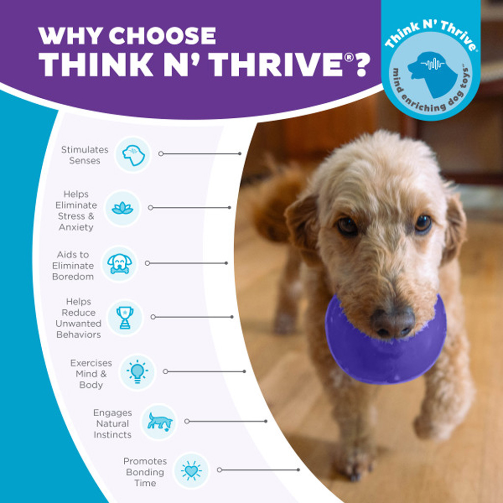 Outward Hound Orbee-Tuff Snoop M Paars - Interactief Traktatiespeeltje - afbeelding 5