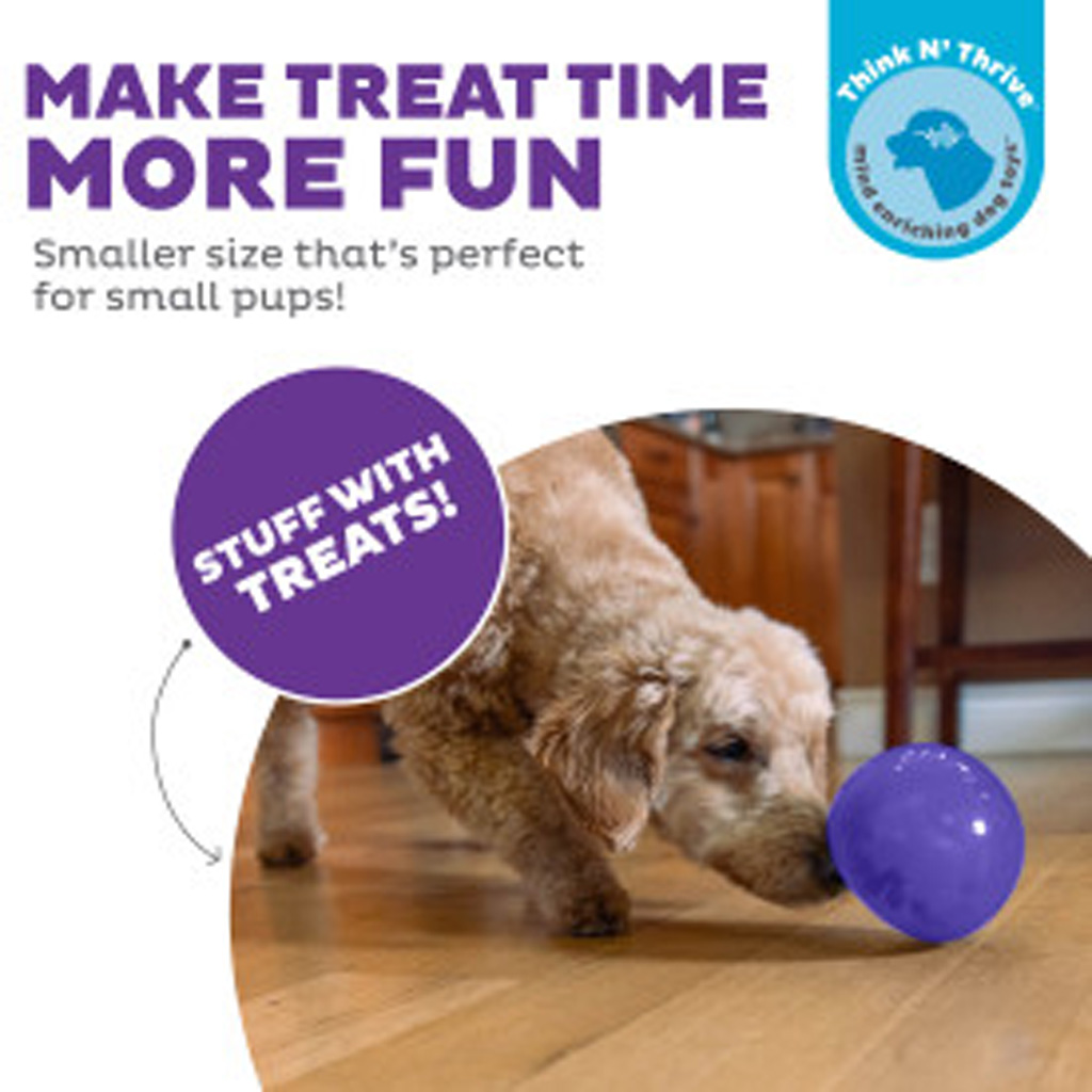 Outward Hound Orbee-Tuff Snoop M Paars - Interactief Traktatiespeeltje - afbeelding 6