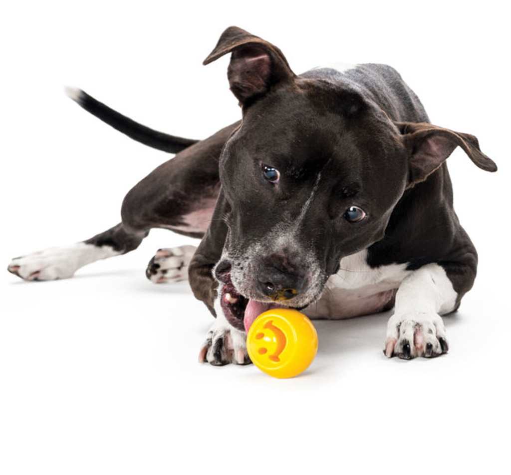 Outward Hound Orbee-Tuff Nooks Geel - Vullend Speeltje voor Honden - afbeelding 2