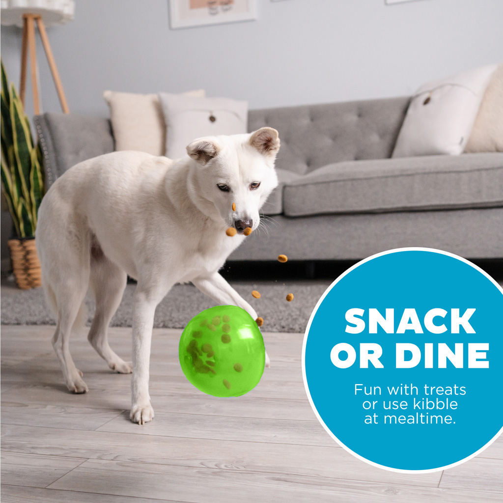 Outward Hound Orbee-Tuff Snoop L Groen - Interactief Traktatiespeeltje - afbeelding 4