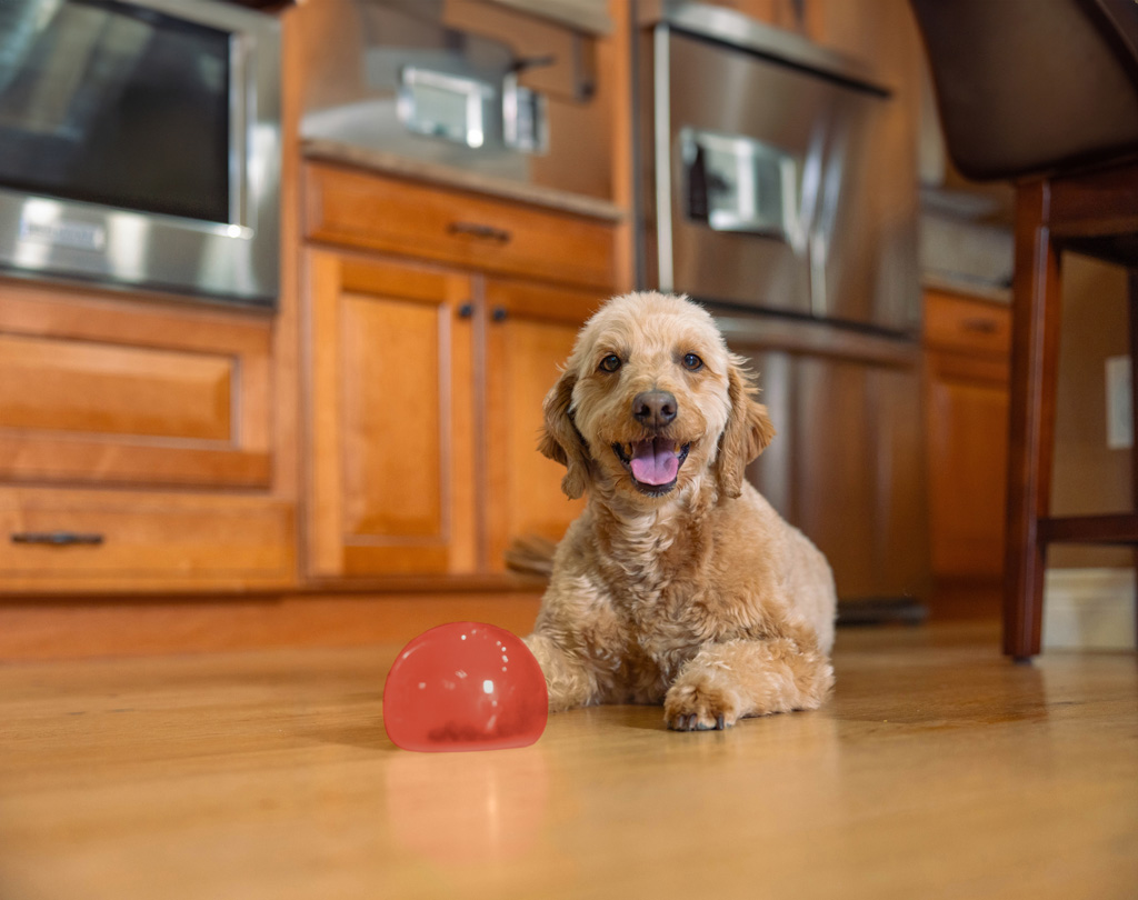 Outward Hound Orbee-Tuff Snoop S Rood - Interactief Traktatiespeeltje - afbeelding 3