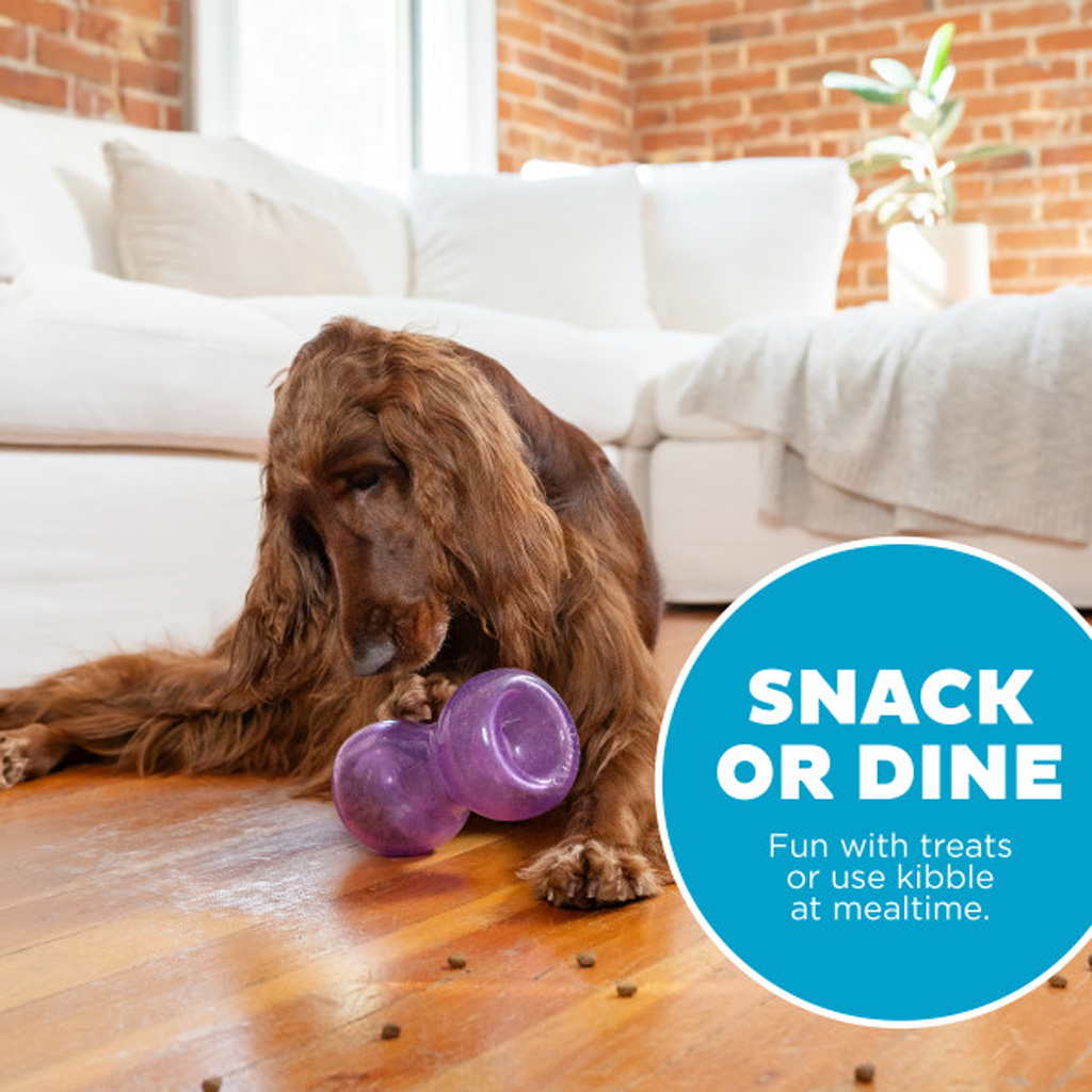 Outward Hound Double Snoop Paars - Interactief Traktatiespeeltje voor Honden - afbeelding 5