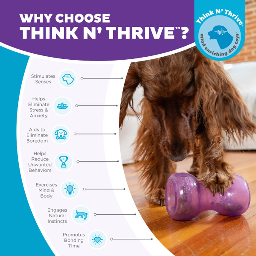 Outward Hound Double Snoop Paars - Interactief Traktatiespeeltje voor Honden - afbeelding 6