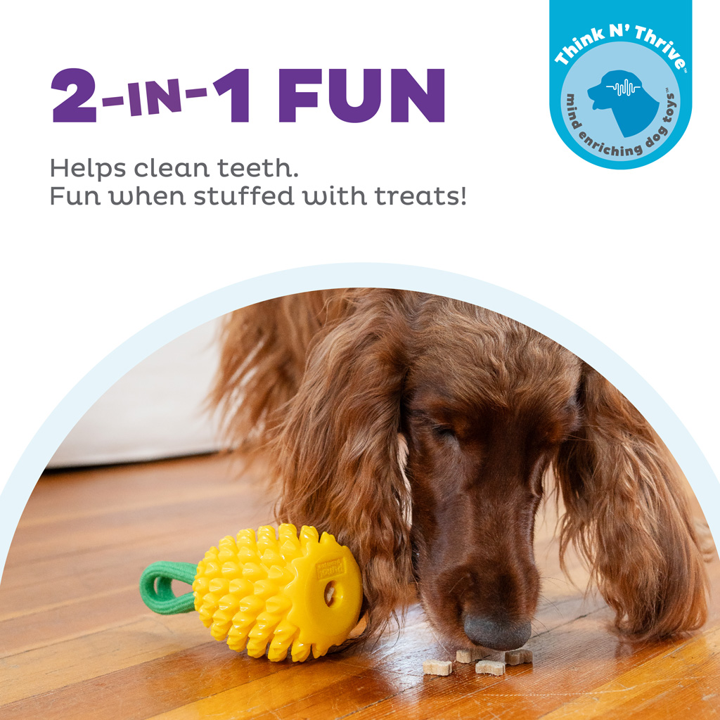 Outward Hound Dental Pineapple 2-in-1 Kauwspeeltje en Vulbaar Speeltje - afbeelding 4
