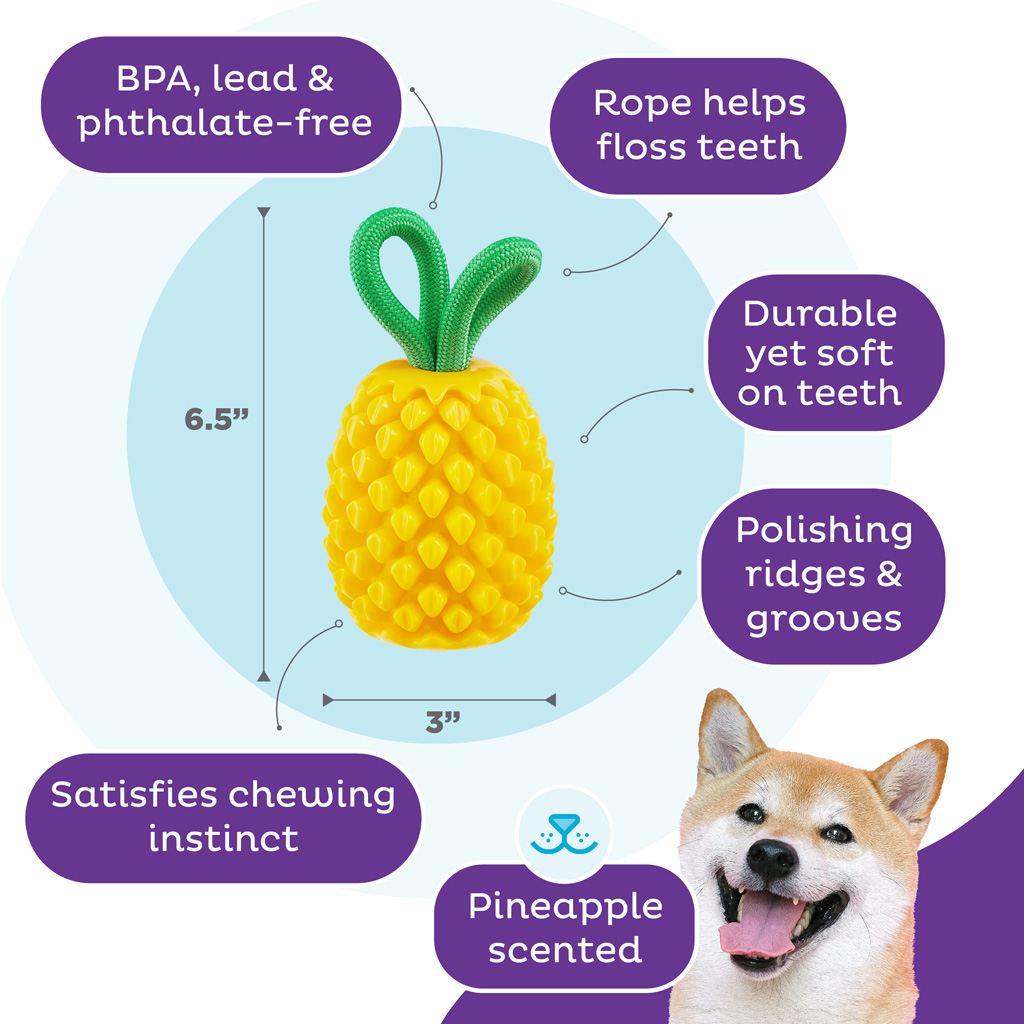 Outward Hound Dental Pineapple 2-in-1 Kauwspeeltje en Vulbaar Speeltje - afbeelding 5