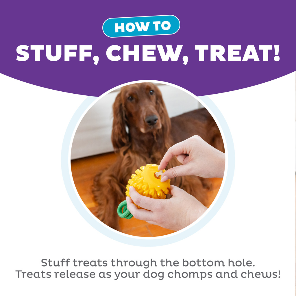 Outward Hound Dental Pineapple 2-in-1 Kauwspeeltje en Vulbaar Speeltje - afbeelding 6