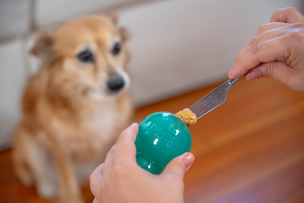 Outward Hound Double-Tuff M Blauw Kauwspeeltje en Vulbaar Speeltje - afbeelding 5